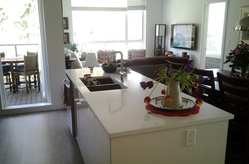 #302-1621 Hamilton Avenue, North Vancouver