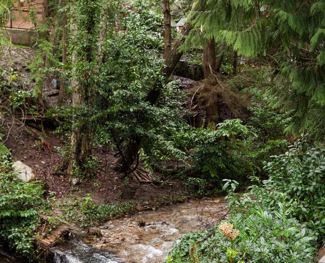 992 Canyon Blvd, North Vancouver V7R 2K1