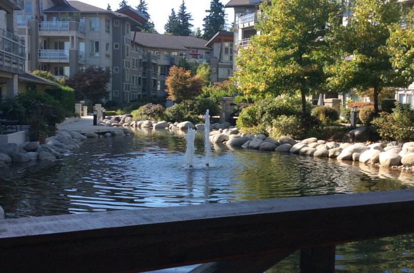 #411 – 530 Ravenwoods Drive, North Vancouver V7G 2T5