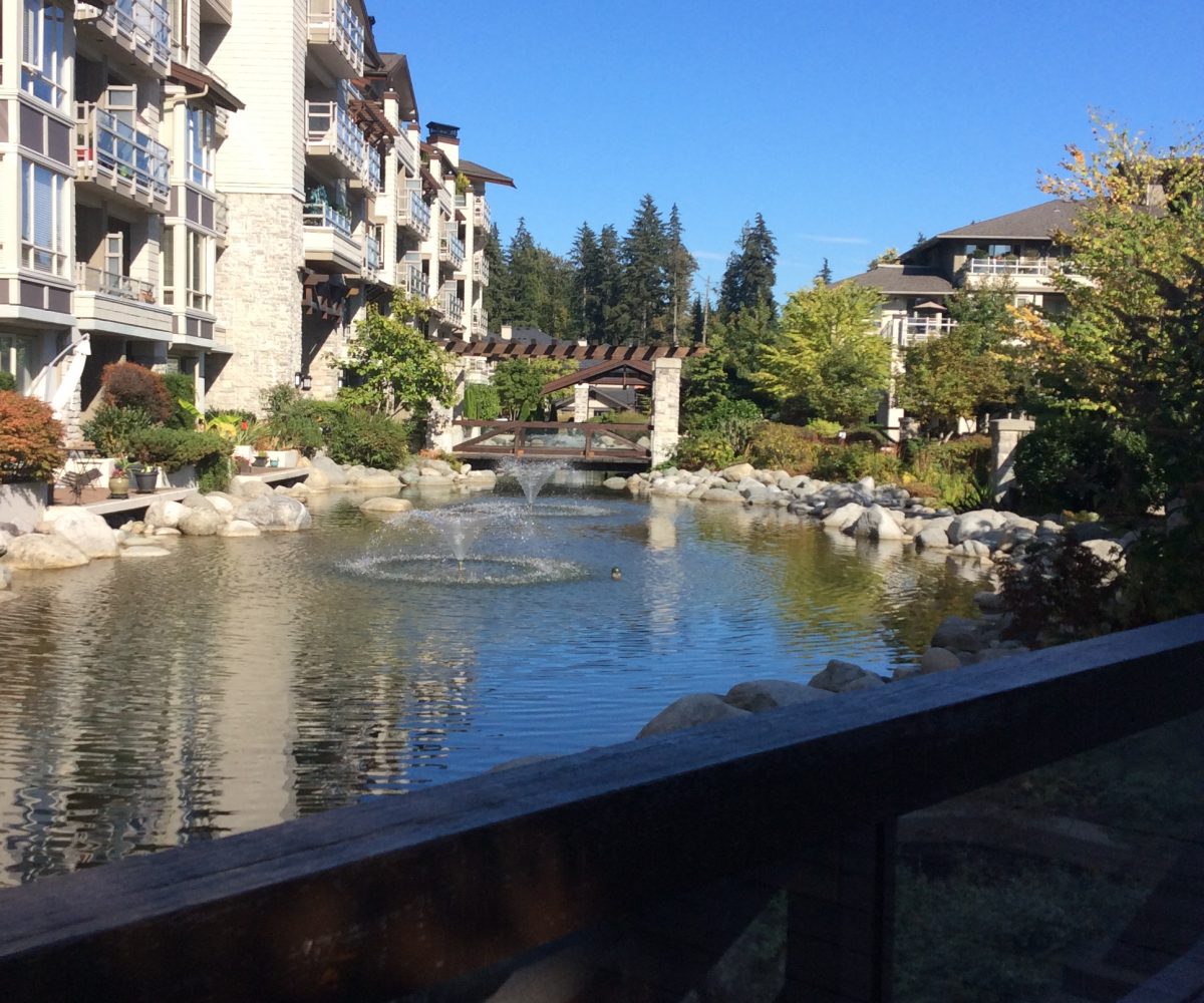 #411 – 530 Ravenwoods Drive, North Vancouver V7G 2T5