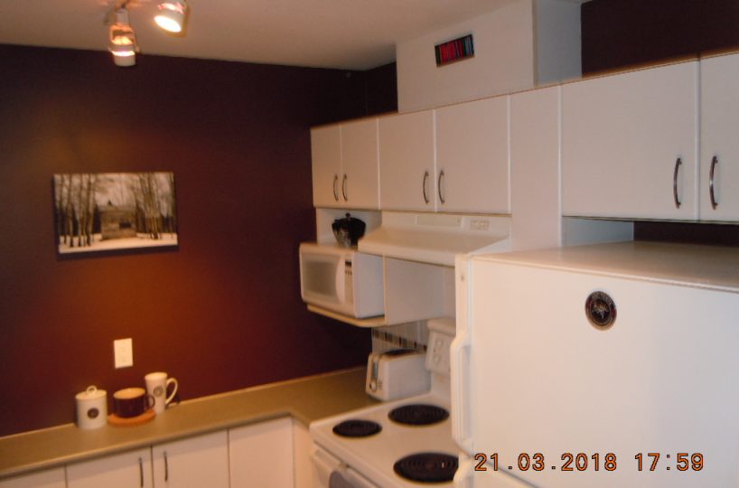#310 East 175 10th Street, North Vancouver, V7L 4W1