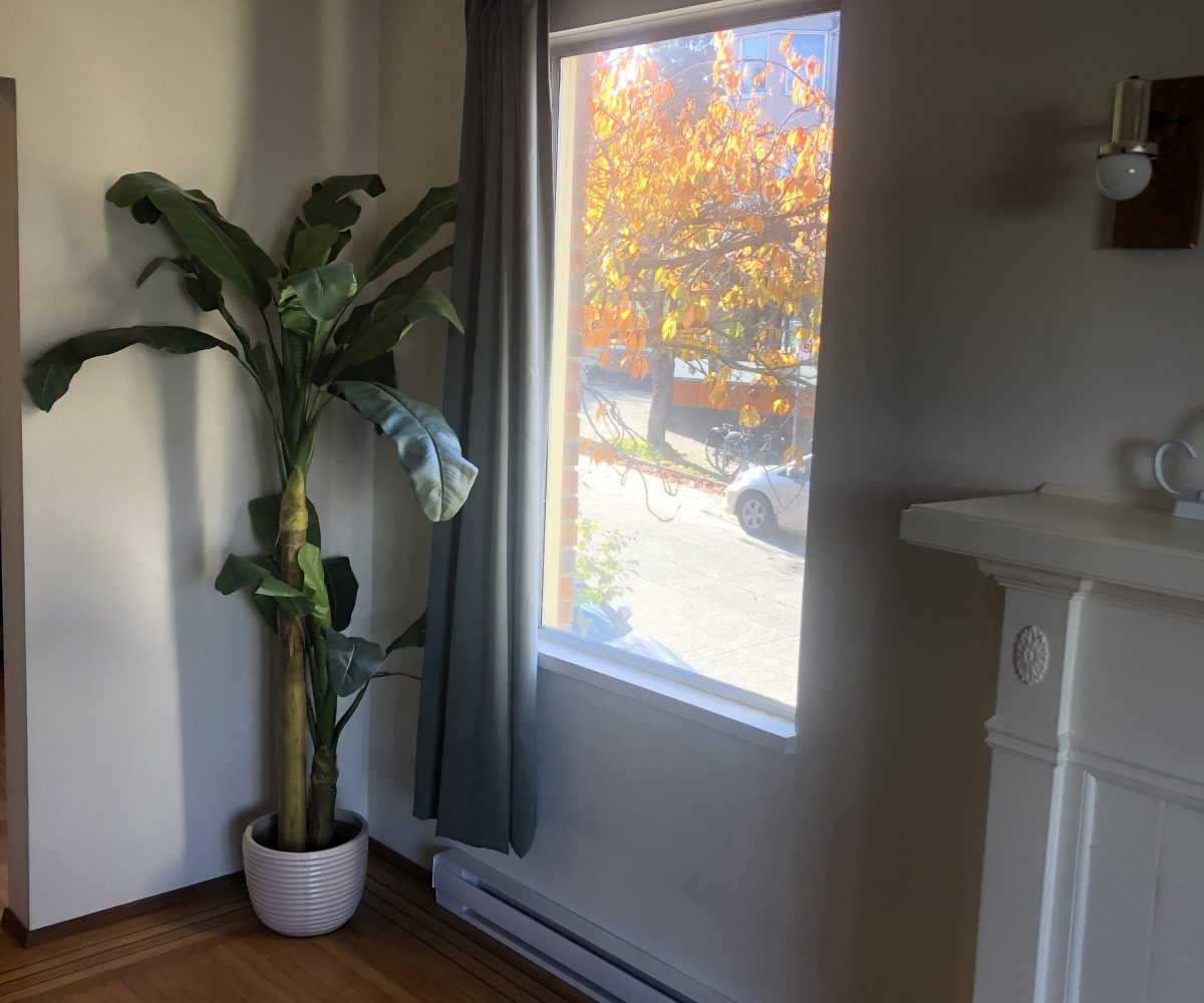 #206 - 2191 1st Avenue West, Vancouver BC V6K 1E7