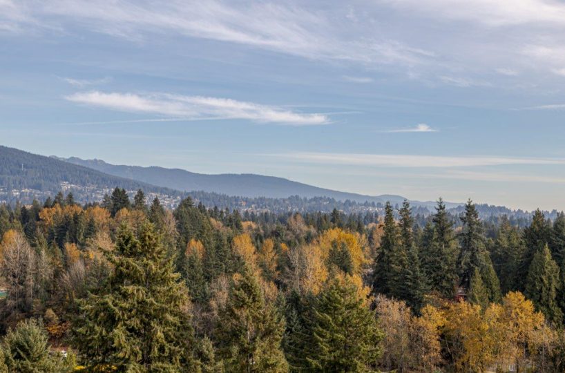 #1907 - 2008 Fullerton Ave, North Vancouver, V7P 3G7
