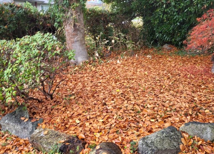 1370 -11th Street, West Vancouver, BC V7T 2M9-Ground Level