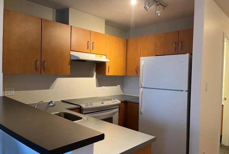 #1506 – 1295 Richards Street, Vancouver BC V6B 1B7 - SEMI-FURNISHED