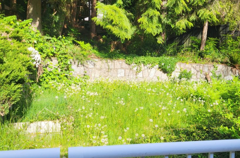 Garden Level 5070 Redonda Road, North Vancouver