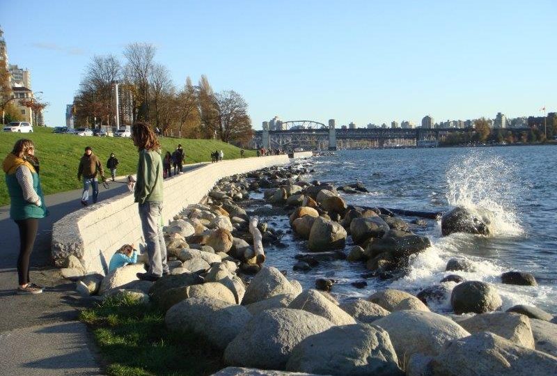 Beach & seawall